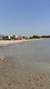 Ninetas House Sea View near the Airport