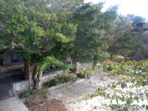 Elea Koundouros Kea Greece
