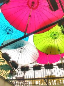 Cantina del Convento Maison