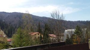 Snow Residence Azuga