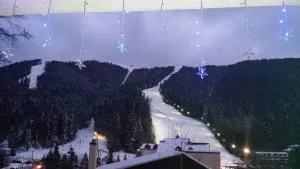 Snow Residence Azuga - 阿祖加