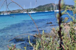 Le Caterine img53