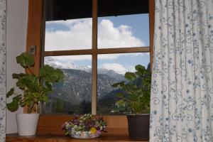 Alpenhof Punzenlehen
