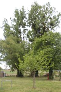 Maisons de vacances The peaceful countryside corner : photos des chambres