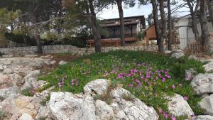 Apartments Dunja Hvar