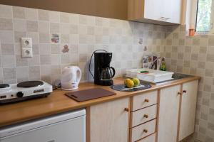 Turtle Beach Studios