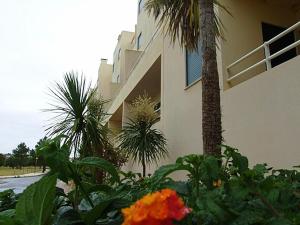 Apartment Salgados T1