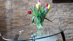 Apartament Przytulny Old Town na Starówce