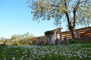 Villa Ribarica