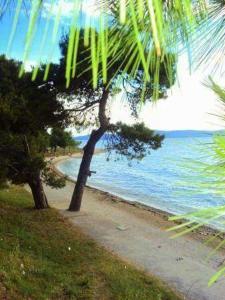 Apartman Toni