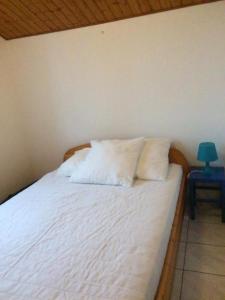 Maison vacances Noirmoutier Barbatre