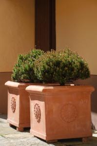 Chez Marianne "chambres dhôtes"