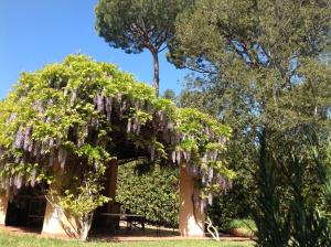 Ferienhaus Punta Ala villetta il glicine Punta Ala Italien