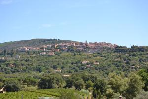 Appartamenti Gli Alberi