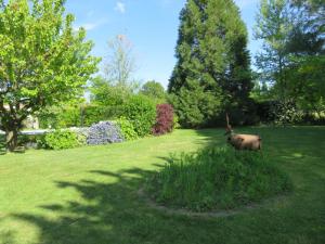 Chez Pierre et Caroline - 3hvězdičkové hotely ve městě Les Herbiers