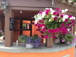 B&B / Chambres d'hotes GuestHouse Le Patio34 : photos des chambres