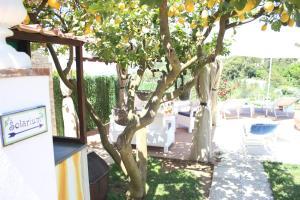 B&B Villa Cristina