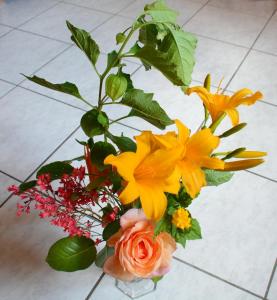 Gîte La Maison Bleue