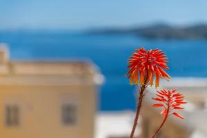 Veranda Syros House Syros Greece