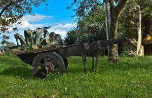 Apartment Agroturizam Radešić