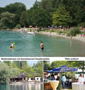 Appartment am Waldmattensee