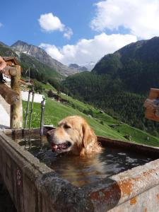 Panorama - lovely place in nature
