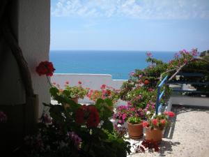 Hotel Hariklia Rethymno Greece