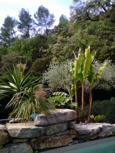 La Bastide des Vents d'Anges photo 15