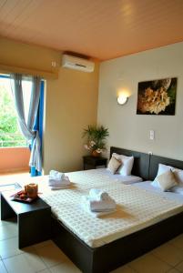 Iliovasilema Hotel Epirus Greece