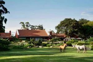 Estancia La Estrella - Napaleofú