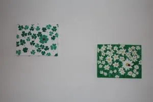 La Casa della Coccinella - Bresimo