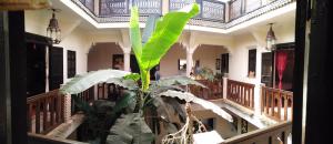 Riad Nomades hotel, 
Marrakech, Morocco.
The photo picture quality can be
variable. We apologize if the
quality is of an unacceptable
level.