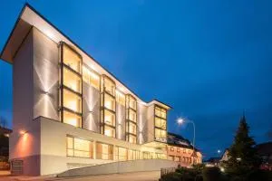 玫瑰酒店 - 厄林根