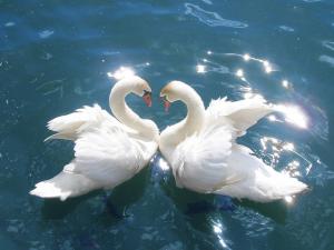 Kyknos De Luxe Suites & Rooms Kastoria Greece