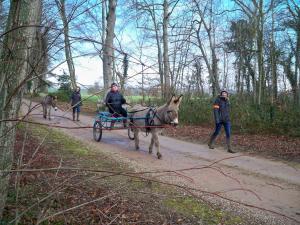 B&B / Chambres d'hotes La roulotte de Pommette et Billy : Roulotte (2 Adultes + 2 Enfants)