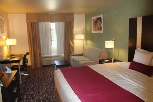 King Room - Non-Smoking room in Best Western Plus The Woodlands