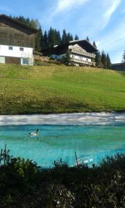 Pension Chalet Bergseegut