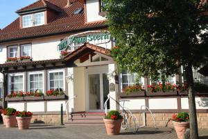 4 csillagos hotel Parkhotel zum Stern Oberaula Németország