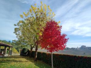 Cascina Cortine