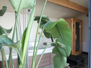 B&B / Chambres d'hotes Entre Mer et Vignes : photos des chambres