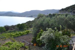 Villa Palio Tsifliki Kavala Greece