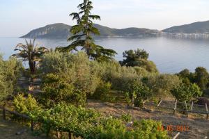 Villa Palio Tsifliki Kavala Greece