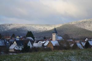 Maisons de vacances Ferienidyll Cleebourg : photos des chambres