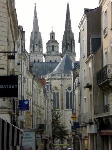 Hotels Mercure Angers Centre Gare : photos des chambres