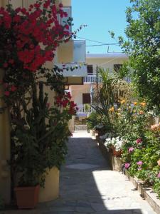 Angelica Studios and Apartments Chania Greece