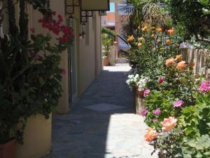 Angelica Studios and Apartments Chania Greece