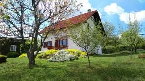 Guest House Kolić - Drežnik Grad