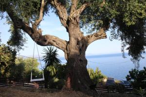 Sunrise View Apartments Corfu Greece