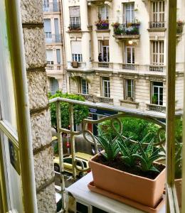 Appartements Charmant appartement au centre de Nice : photos des chambres