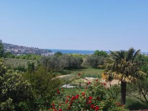 Peaceful View Apartment 